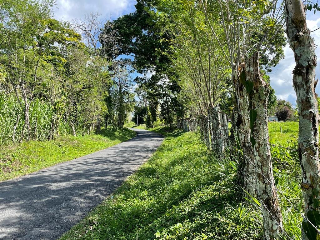 Land In Santa Marta Panama In San Miguelito, Panama, Panama For Sale