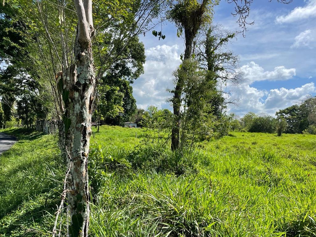 Land In Santa Marta Panama In San Miguelito, Panama, Panama For Sale