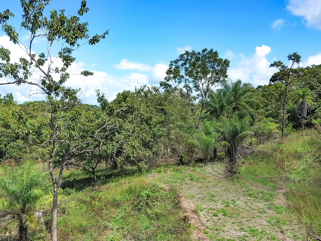 Prime Oceanfront Land In Boca Chica In Boca Chica, Chiriquí Province
