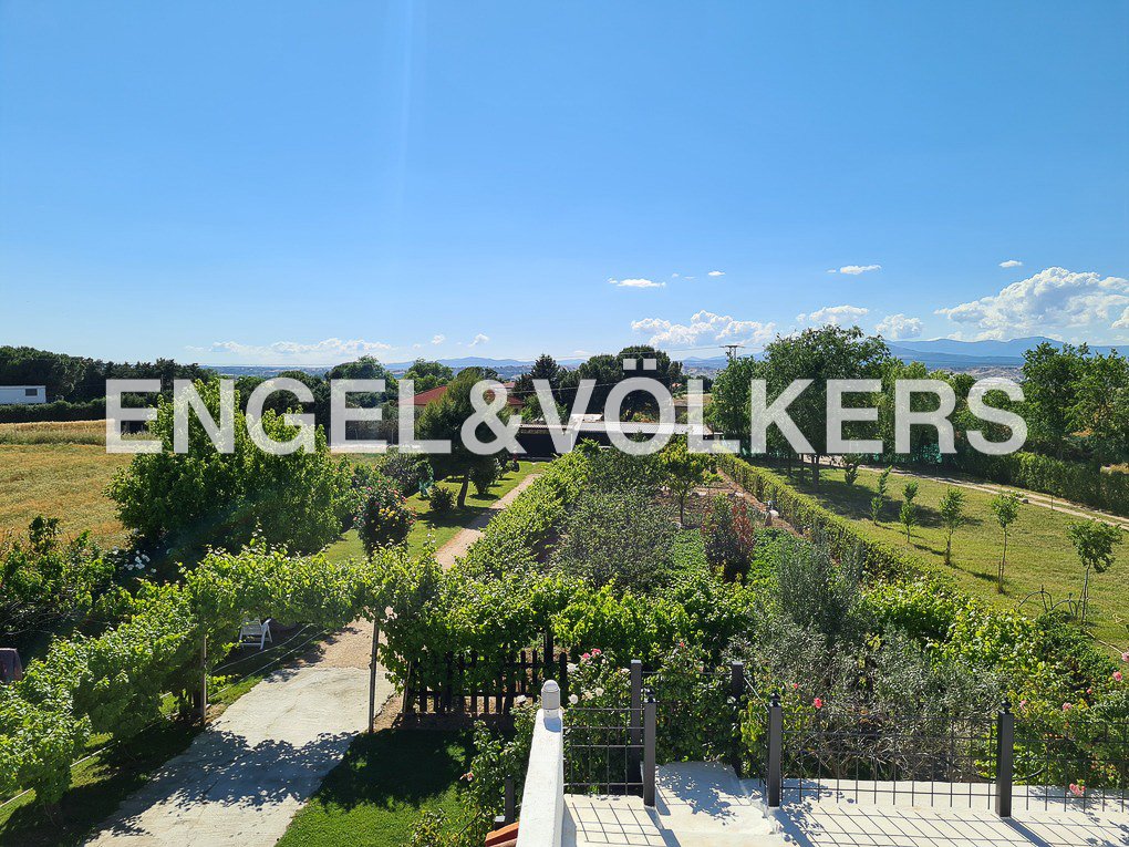 Spectacular Country In Fuente El Saz De Jarama, Community Of Madrid