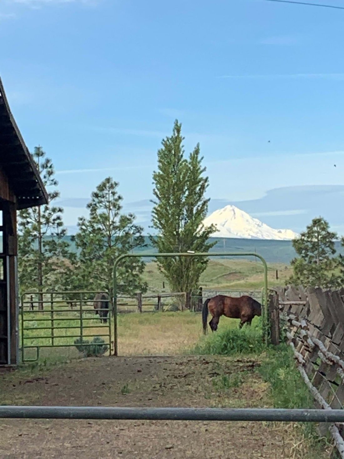 Columbia Cattle Ranch In Goldendale, Washington, United States
