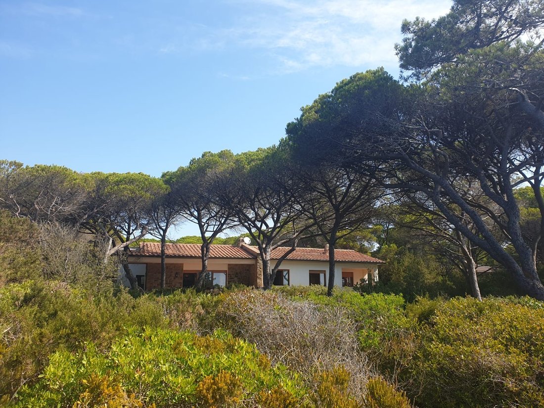 Villa in Rocchette, Castiglione della Pescaia, Tuscany 3 - 13149899