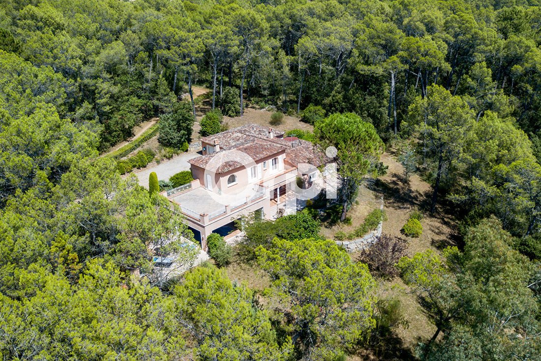 House in Seillans, Provence-Alpes-Côte d'Azur, France 2 - 13146951