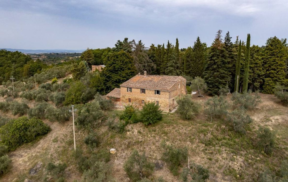 Asciano, Tuscany, Italy 3 - 13150236