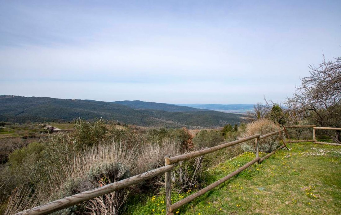 Montalcino, Tuscany, Italy 2 - 13150303
