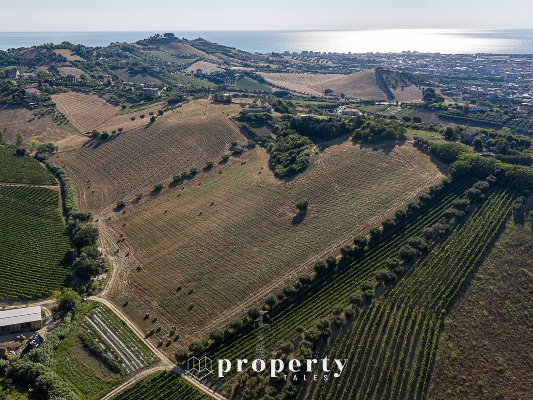 Country House in Monteprandone, Marche, Italy 3 - 13070558