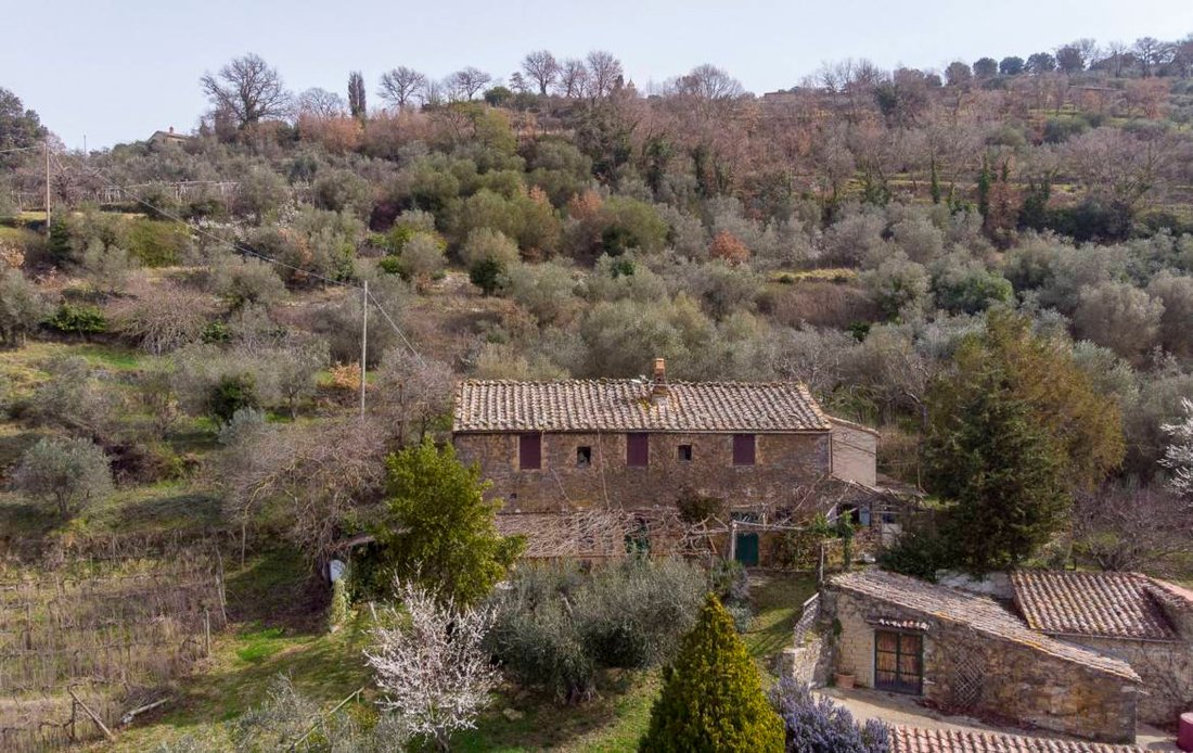 Montalcino, Tuscany, Italy 1 - 13150303