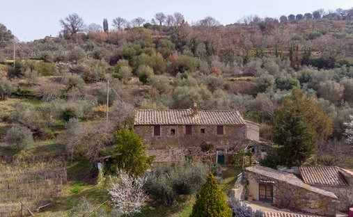 Country House in Montalcino, Tuscany, Italy 1