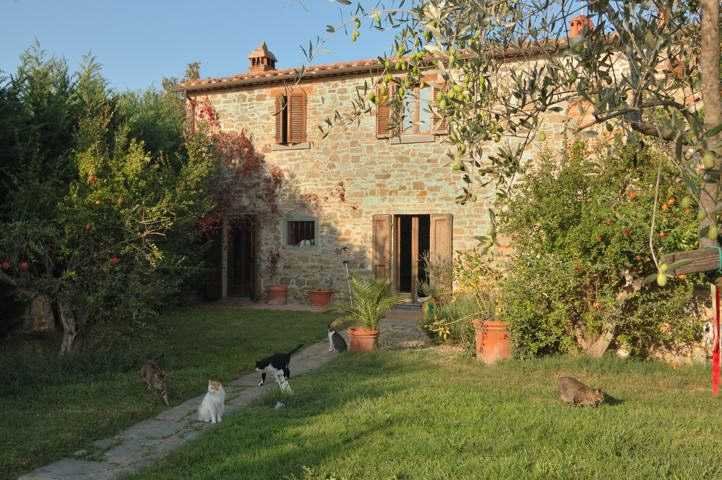 Montecchio della Pozzanghera, Tuscany, Italy 1 - 13150052