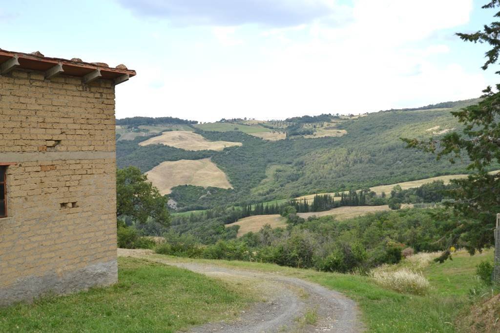 Estate in Castiglione d'Orcia, Tuscany, Italy 4 - 13150080