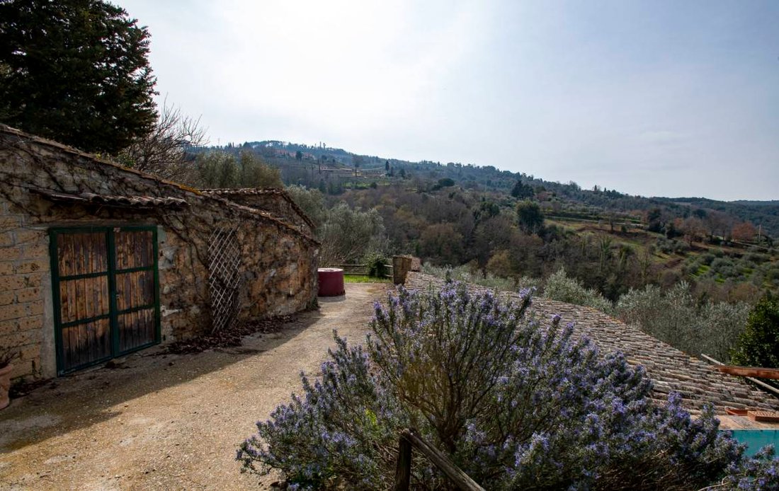 Montalcino, Tuscany, Italy 3 - 13150303