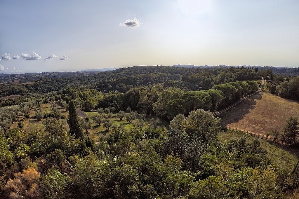 Country House in Montaione, Tuscany, Italy 3 - 13151134