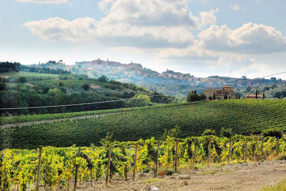 Country House in Montepulciano, Tuscany, Italy 3 - 13151119