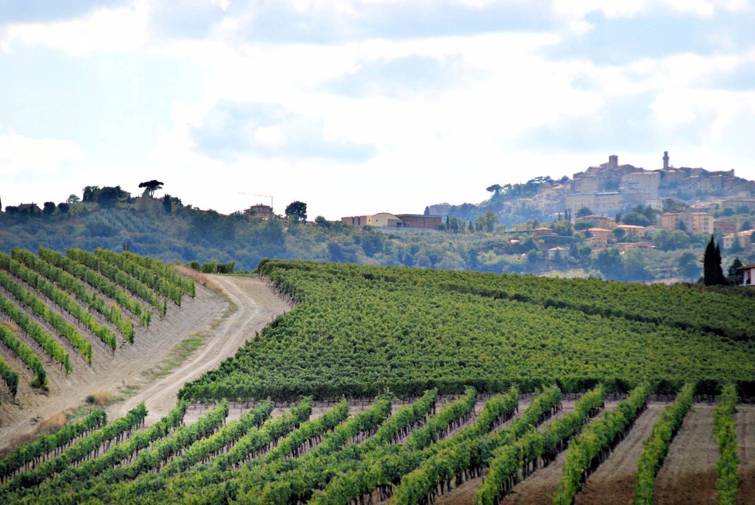 Country House in Montepulciano, Tuscany, Italy 2 - 13151119