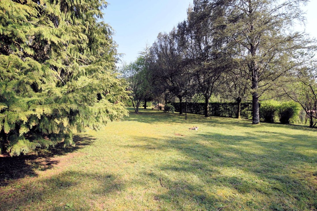 Villa in Camaiore, Tuscany, Italy 4 - 13151143