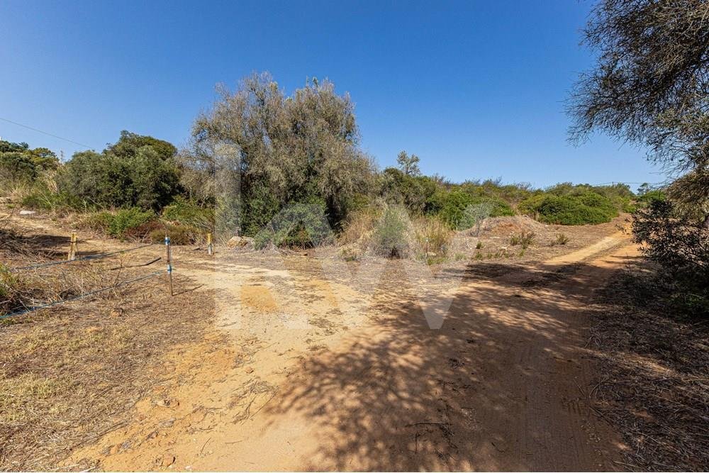 Terreno Misto Com Casa A 2,5 In Lagos São Sebastião E Santa Maria