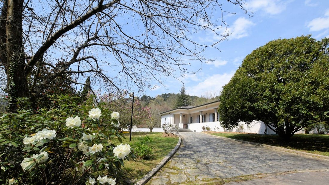 Villa in Camaiore, Tuscany, Italy 1 - 13151143