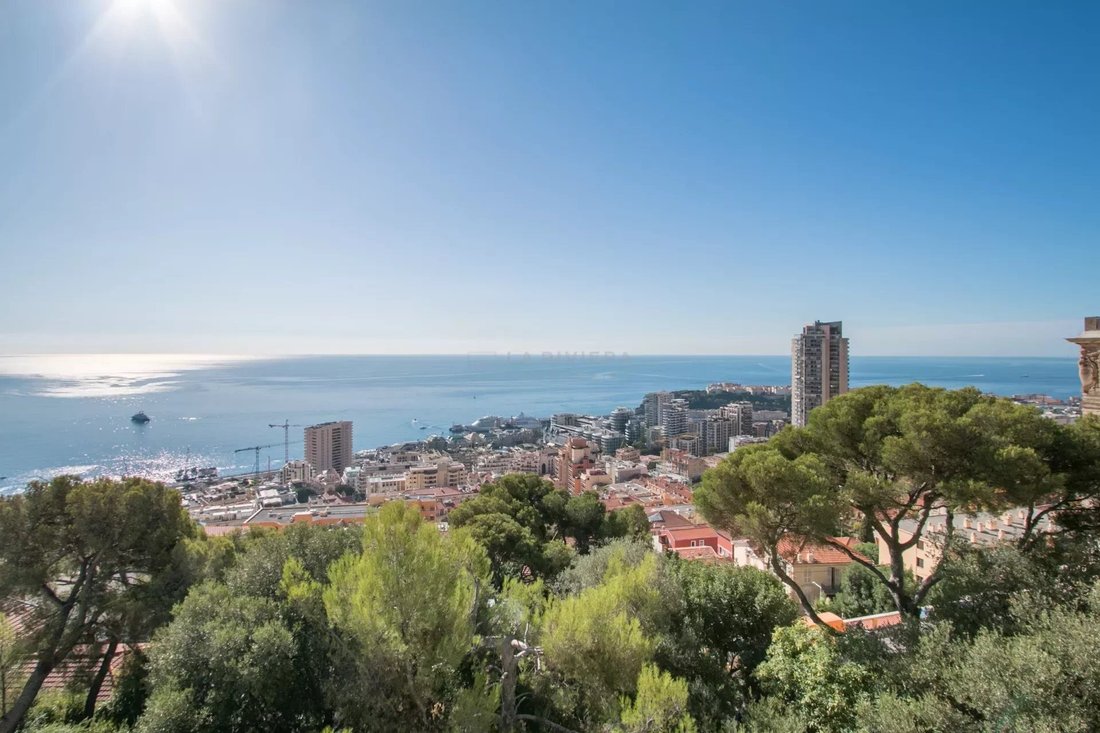 House in Beausoleil, Provence-Alpes-Côte d'Azur, France 1 - 11221683