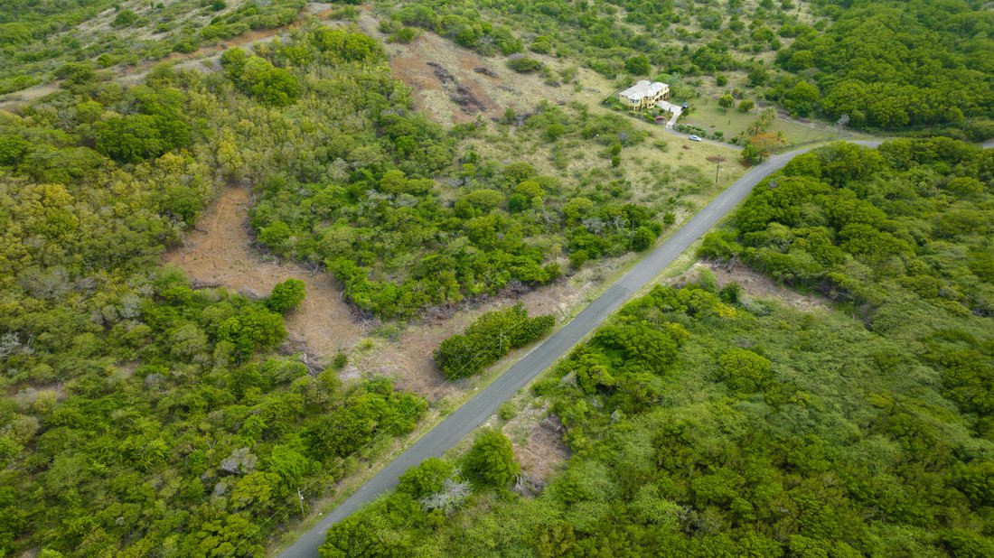 Piccadilly Land In Piccadilly, Saint Paul, Antigua And Barbuda For Sale