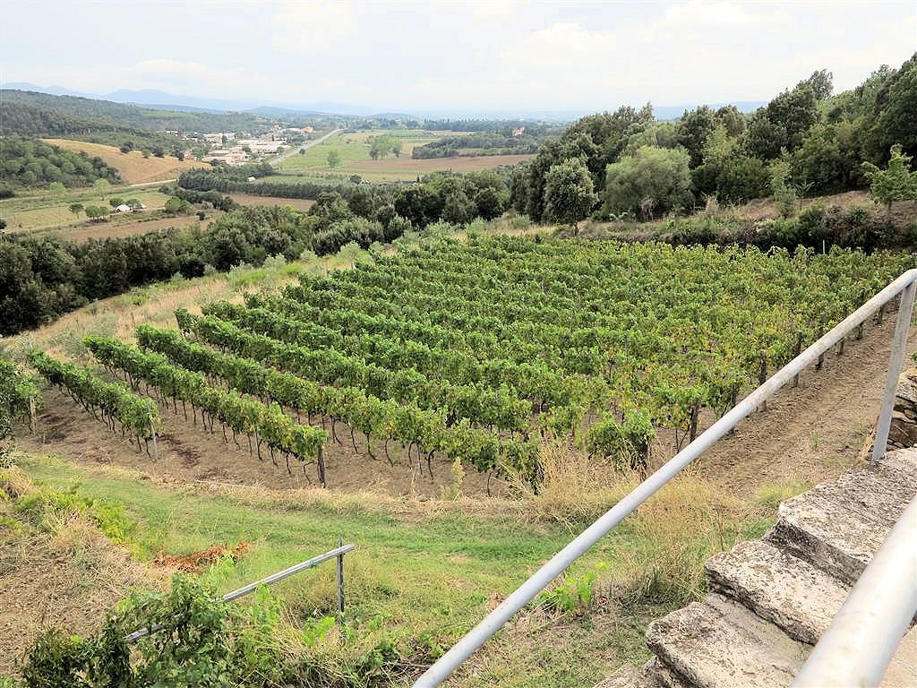 Country House in Massa Marittima, Tuscany, Italy 3 - 13151132