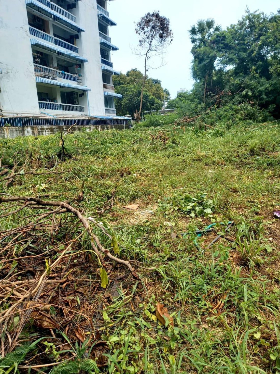 Land For Sale In Prime Location In The Middle In Bang Lamung District, Thailand For Sale (13157618)