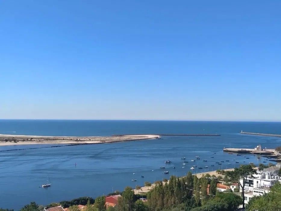 Apartment in Lordelo do Ouro e Massarelos, Porto District, Portugal 1 - 13168044