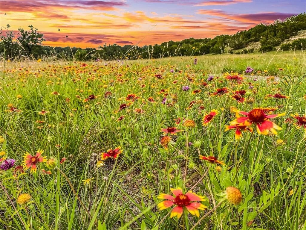 Lots And Land Dripping Springs In Dripping Springs, Texas, United