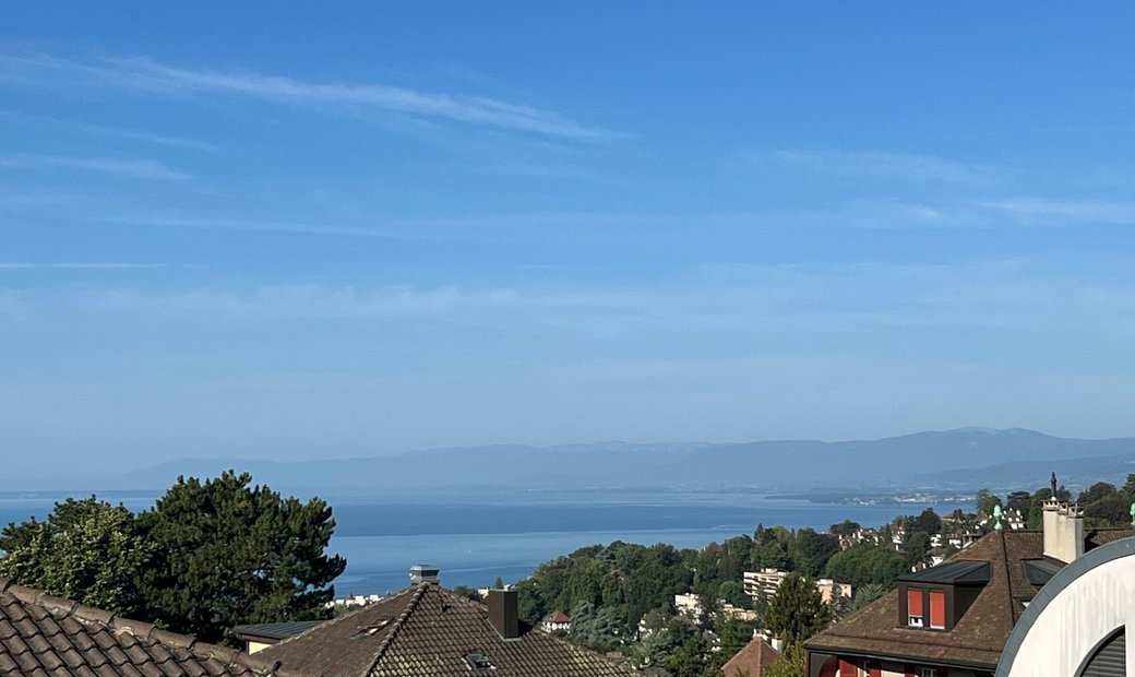 Tastefully Refurbished Dream Penthouse In Pully, Vaud, Switzerland For