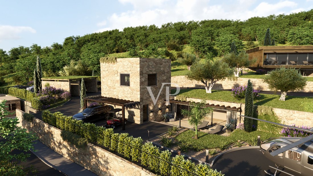 Villa in Torri del Benaco, Veneto, Italy 5 - 12594053