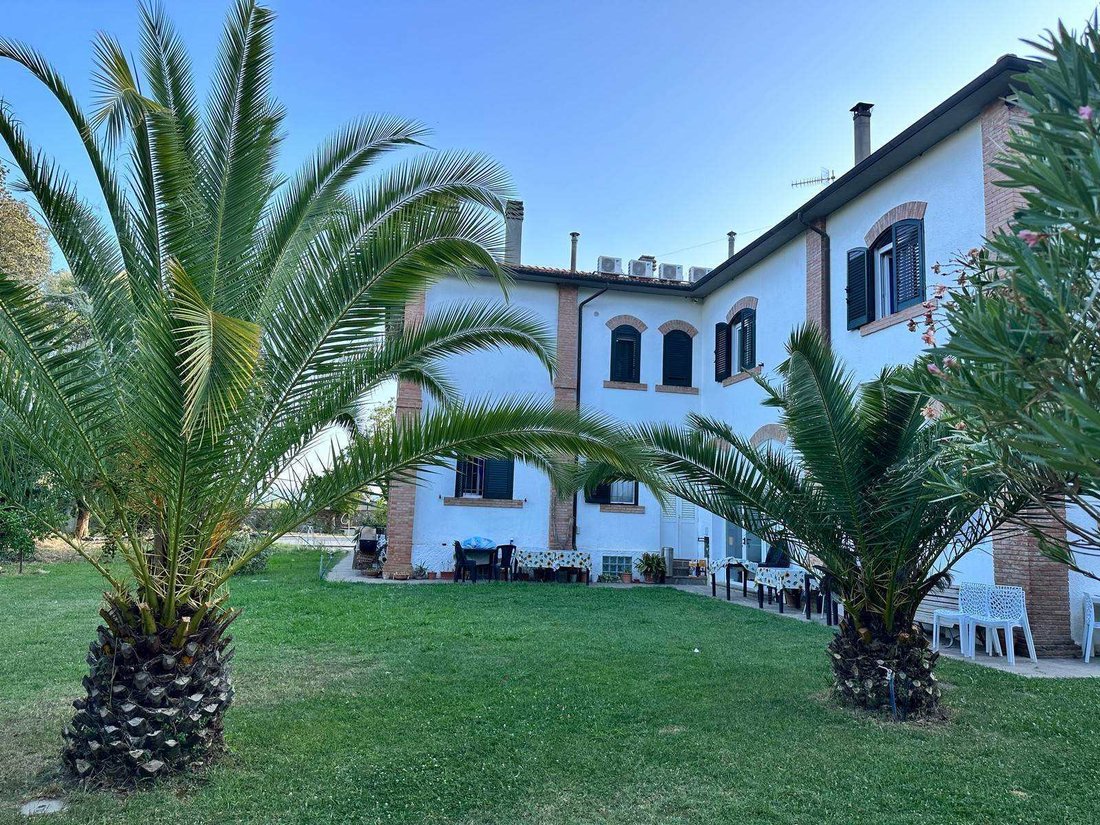 Pizzetti, Grosseto, Italy 1 - 13174381
