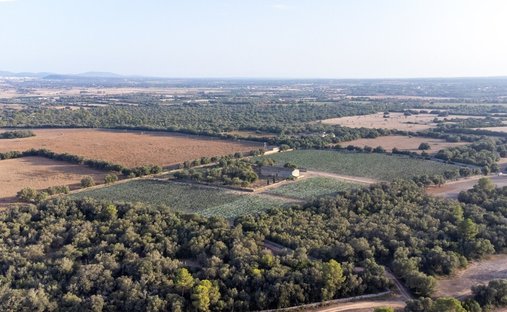 Azienda agricola a Vilafranca de Bonany, Isole Baleari, Spagna 1