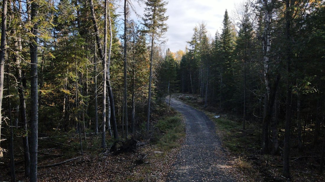 Ch. Olivier Paradis In Village De Labelle, Quebec, Canada For Sale