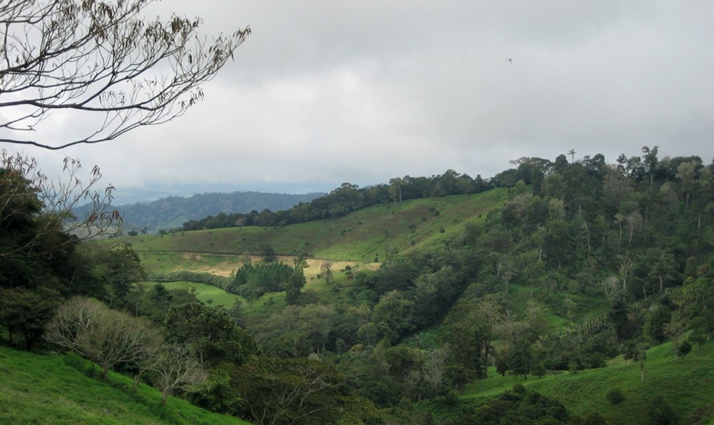 Paradise Found Land In Volcan Panama In Volcán Barú, Chiriquí Province