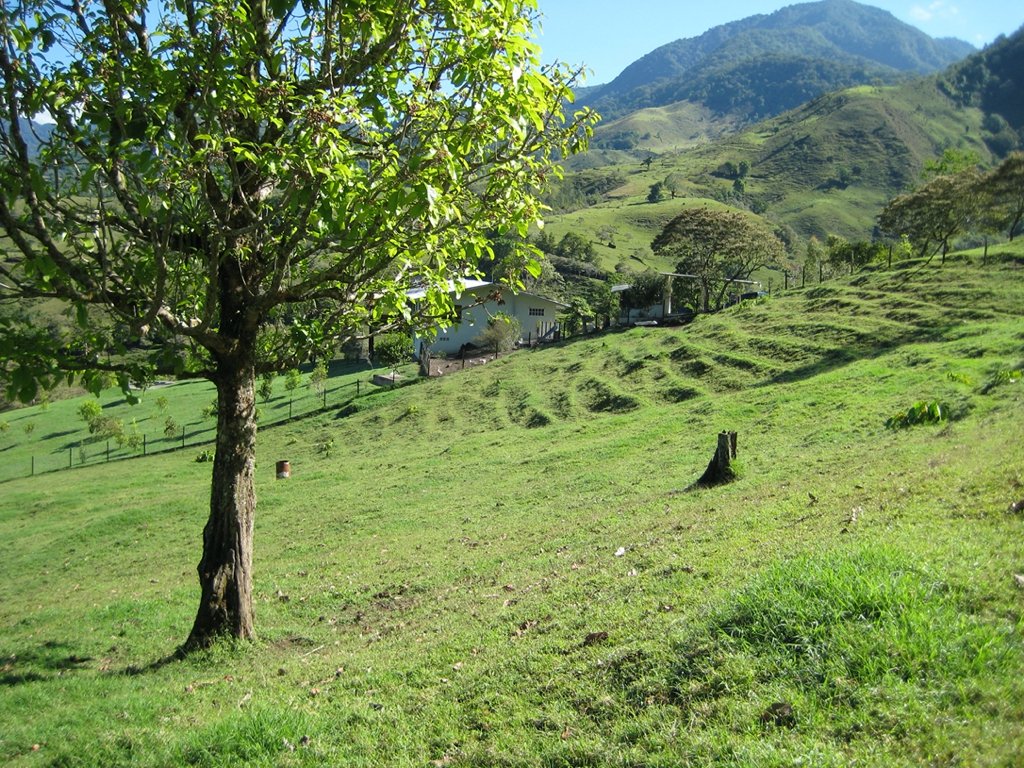 Paradise Found Land In Volcan Panama In Volcán Barú, Chiriquí Province