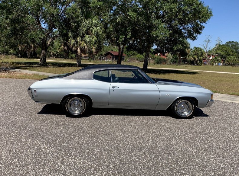 Pinellas, FL, United States 4 - 13177903