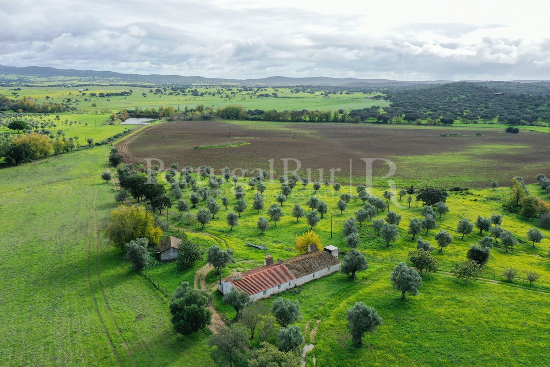 Beautiful Estate With 122 Ha, 2 Dams, Old Hill In Arraiolos, évora