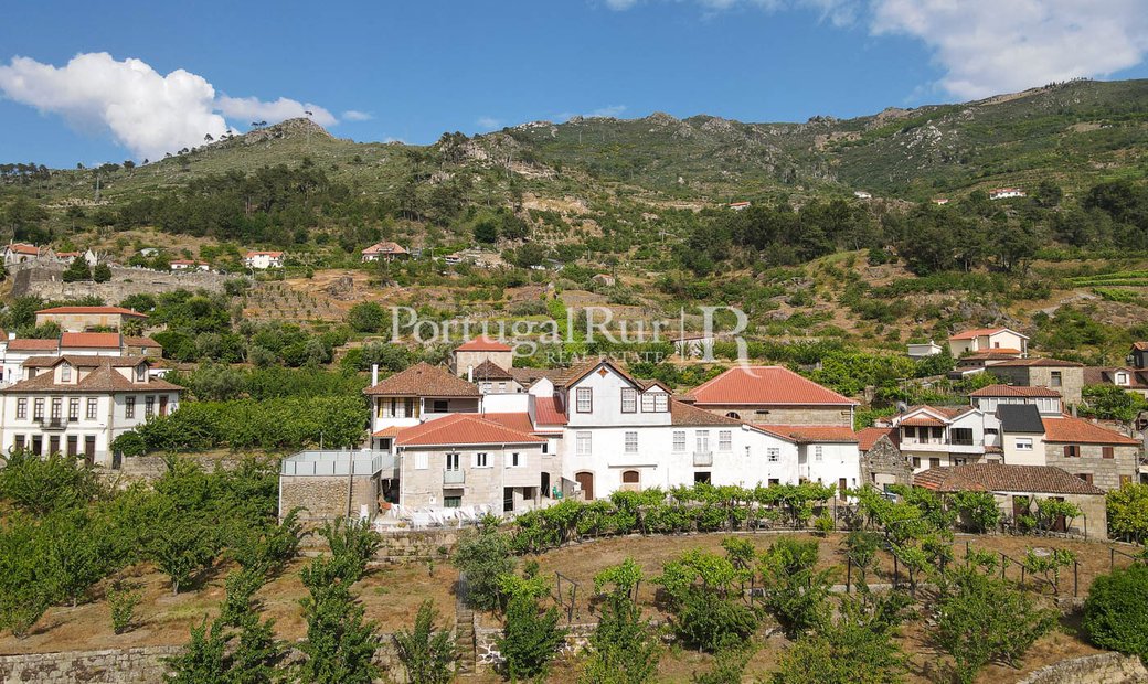 Century Old Farm With Manor House In Viseu In Resende, Viseu District