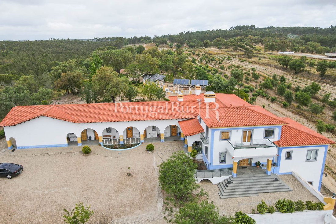 Farm Ranch in Almeirim, Santarem District, Portugal 2 - 10815772