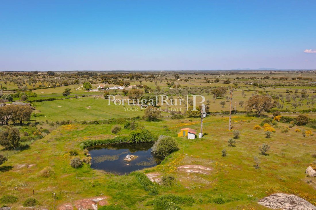 Farm For Rural Tourism And In Nisa, Portugal, Portalegre District