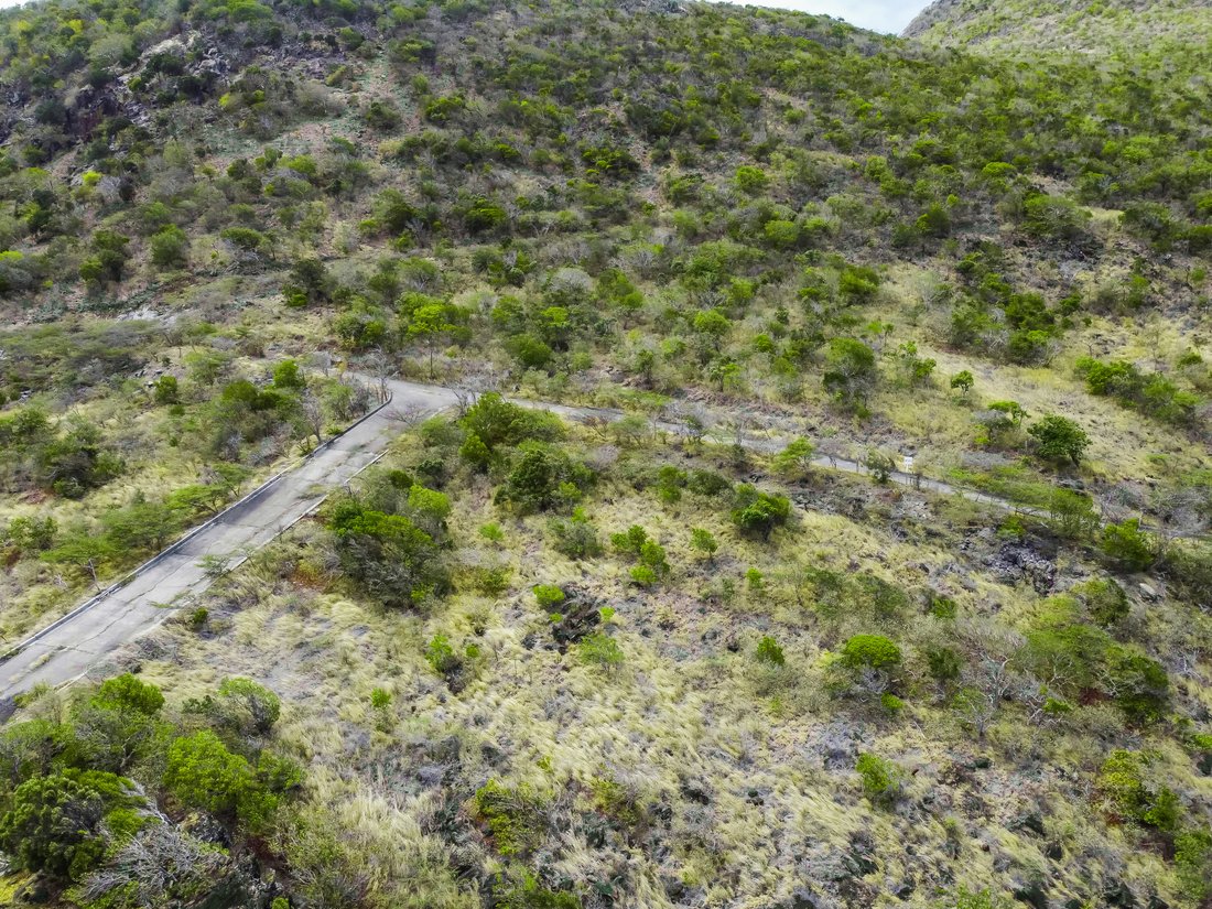 Land in Basseterre, Saint Peter Basseterre Parish, Saint Kitts and Nevis 3 - 13181998
