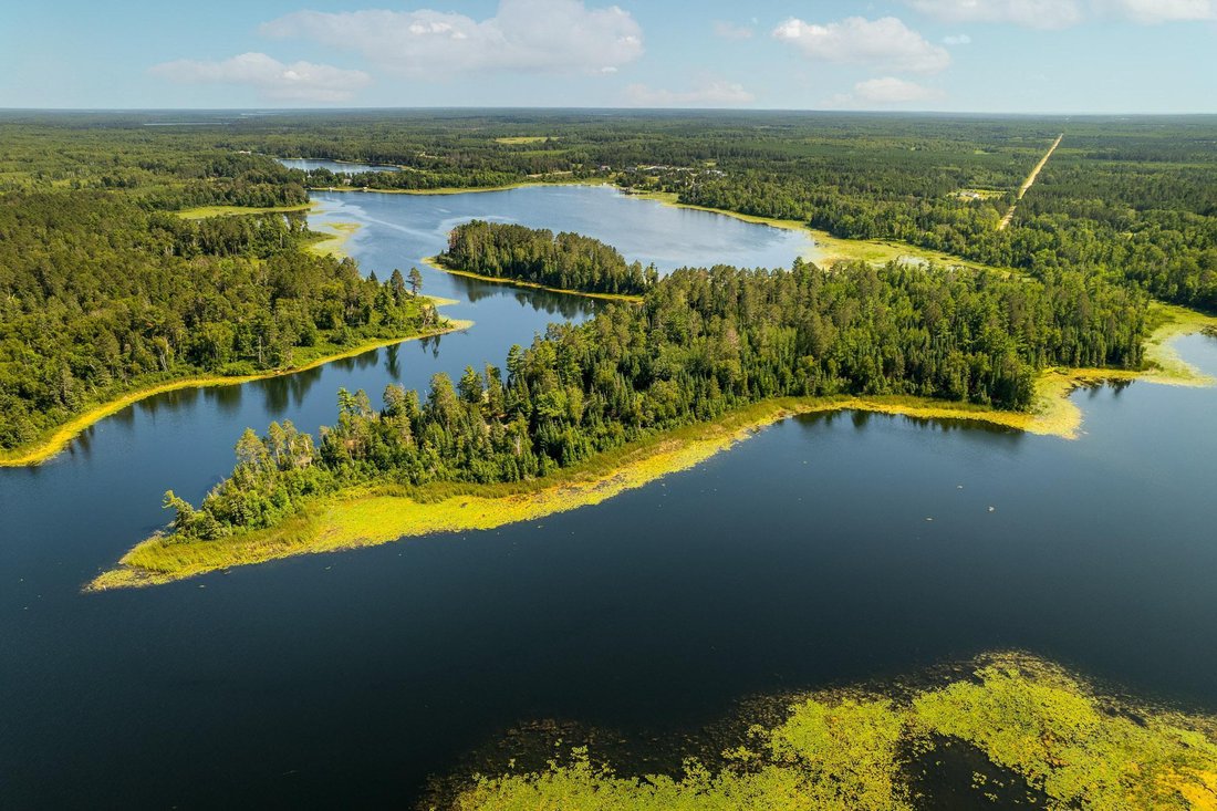 Maison Individuelle Dans Turtle River Township, Minnesota, états Unis à