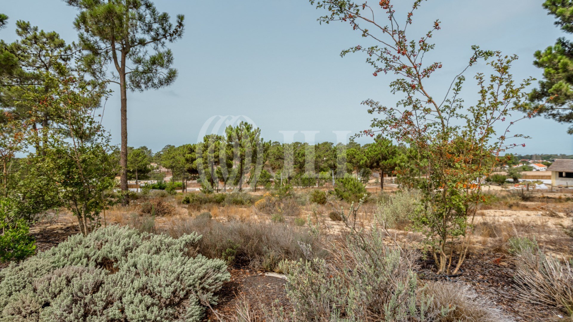 Land for sale in Grândola, Portugal — €2,600,000