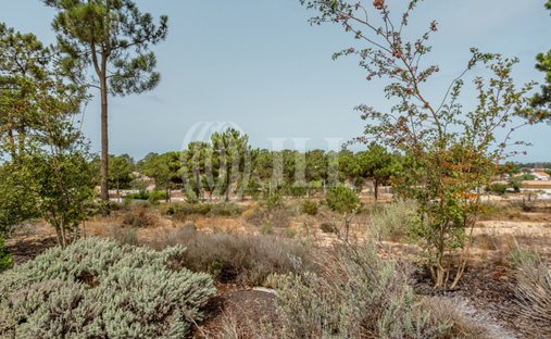 Land in Grândola, Setúbal, Portugal 1