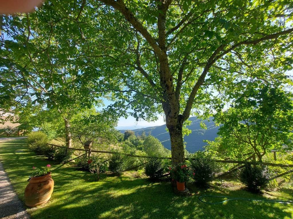 Cegliolo - Torreone - Portole, Cortona, Tuscany 4 - 13179856