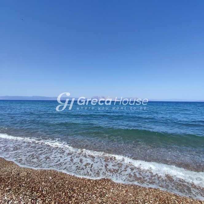 Land in Lakkopetras, Larissos, Peloponnese, Western Greece and the Ionian 2 - 13105839