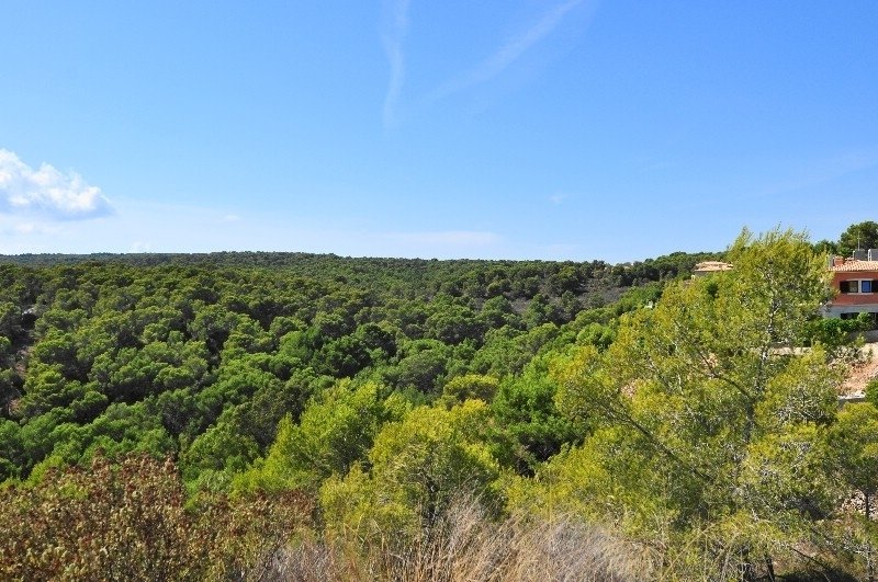 Sol De Mallorca Land In Sol De Mallorca, Balearic Islands, Spain For