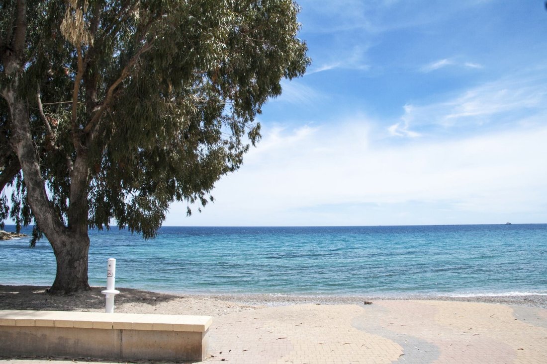 Apartment in la Vila Joiosa / Villajoyosa, Valencian Community, Spain 4 - 13189537