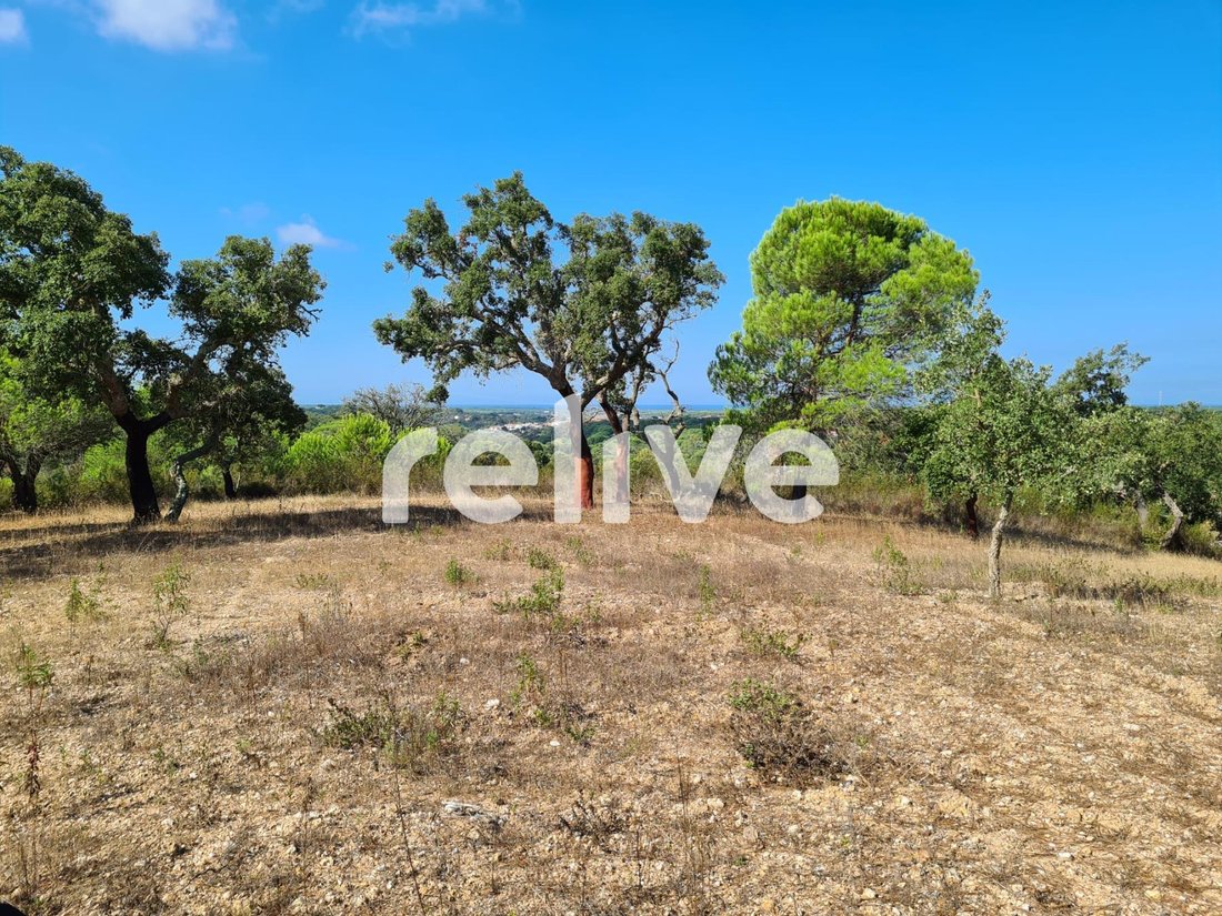 Grândola House In Melides, Setubal, Portugal For Sale (13187182)