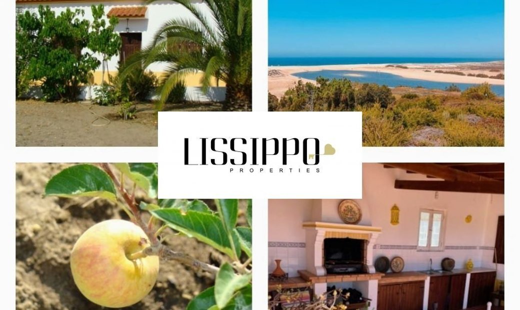 Melides Fantastic Property Inserted In A Plot In Grândola, Setubal