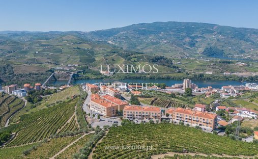 Rancho en Peso da Régua, Distrito de Vila Real, Portugal 1